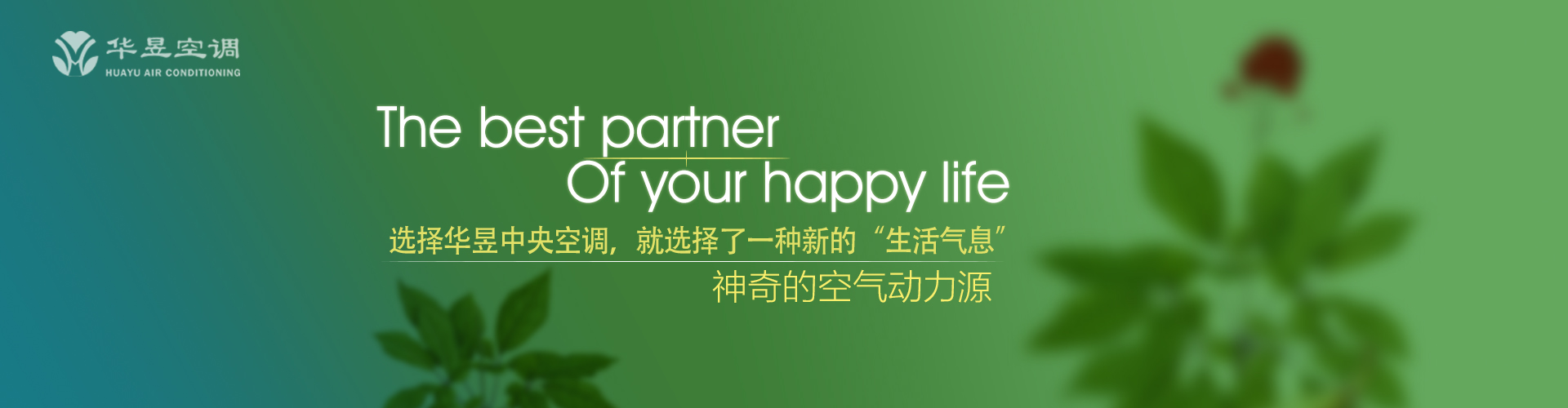 晓风残月网